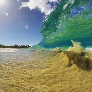 Meet your Posher, Shane